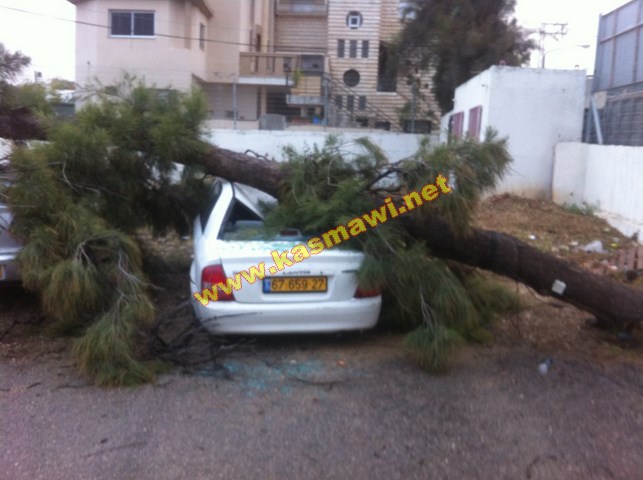 كفرقاسم : العاصفة تشتد ووقوع شجرة كبيرة تخلف اضرارا والبرد يغطي شوارعنا  